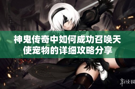 神鬼传奇中如何成功召唤天使宠物的详细攻略分享