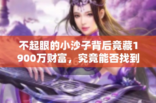 不起眼的小沙子背后竟藏1900万财富，究竟能否找到宝石揭秘