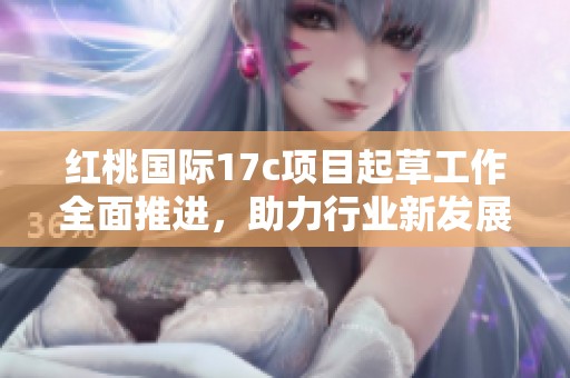 红桃国际17c项目起草工作全面推进，助力行业新发展