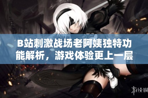 B站刺激战场老阿姨独特功能解析，游戏体验更上一层楼