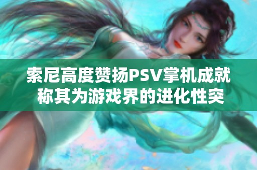索尼高度赞扬PSV掌机成就 称其为游戏界的进化性突破