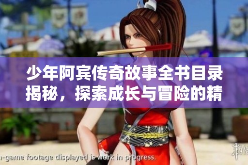 少年阿宾传奇故事全书目录揭秘，探索成长与冒险的精彩篇章