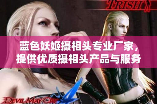蓝色妖姬摄相头专业厂家，提供优质摄相头产品与服务介绍
