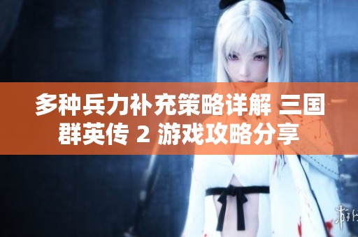 多种兵力补充策略详解 三国群英传 2 游戏攻略分享