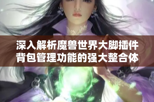 深入解析魔兽世界大脚插件背包管理功能的强大整合体验