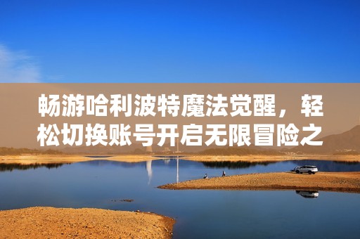 畅游哈利波特魔法觉醒，轻松切换账号开启无限冒险之旅