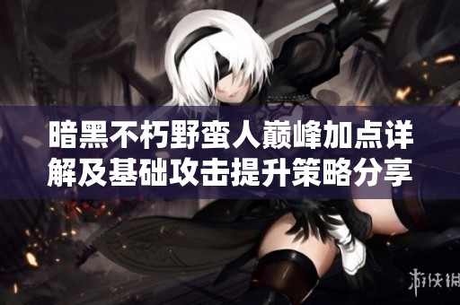 暗黑不朽野蛮人巅峰加点详解及基础攻击提升策略分享