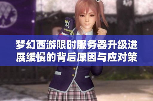 梦幻西游限时服务器升级进展缓慢的背后原因与应对策略解析