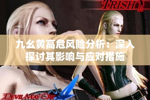 九幺黄高危风险分析：深入探讨其影响与应对措施
