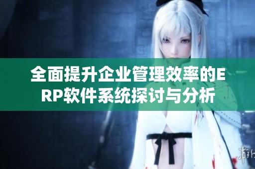 全面提升企业管理效率的ERP软件系统探讨与分析