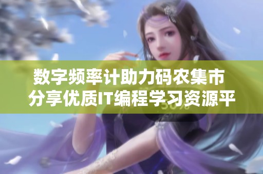 数字频率计助力码农集市 分享优质IT编程学习资源平台