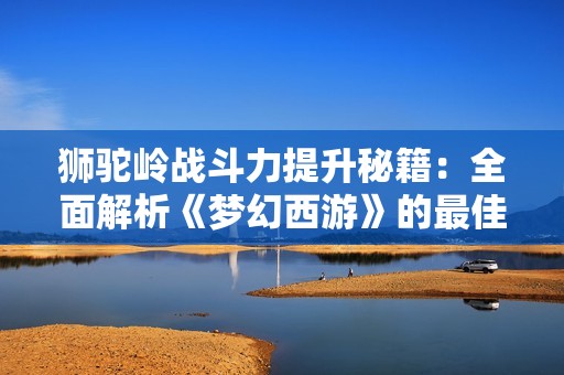 狮驼岭战斗力提升秘籍：全面解析《梦幻西游》的最佳策略与技巧
