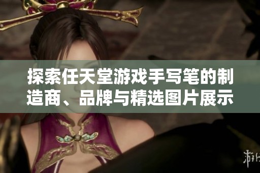 探索任天堂游戏手写笔的制造商、品牌与精选图片展示