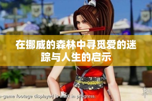 在挪威的森林中寻觅爱的迷踪与人生的启示