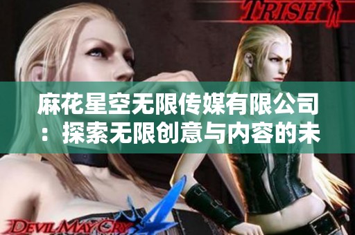 麻花星空无限传媒有限公司：探索无限创意与内容的未来之路