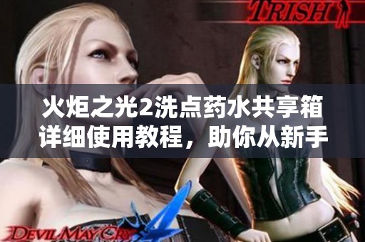 火炬之光2洗点药水共享箱详细使用教程，助你从新手成长为高手