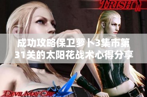 成功攻略保卫萝卜3集市第31关的太阳花战术心得分享