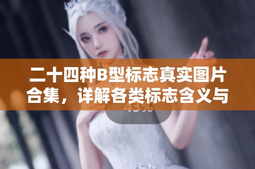 二十四种B型标志真实图片合集，详解各类标志含义与应用