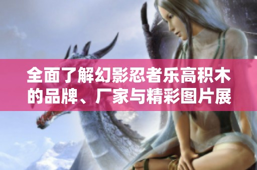 全面了解幻影忍者乐高积木的品牌、厂家与精彩图片展示