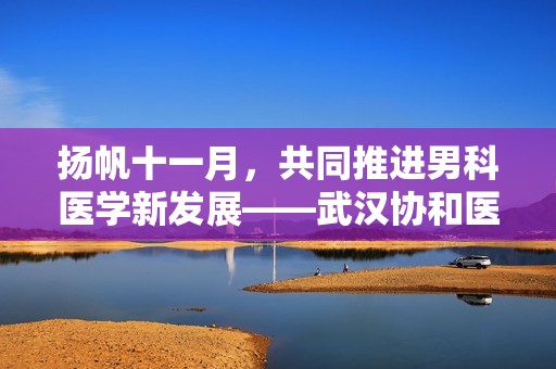 扬帆十一月，共同推进男科医学新发展——武汉协和医院显微技术第四期活动
