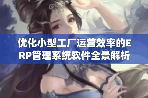 优化小型工厂运营效率的ERP管理系统软件全景解析