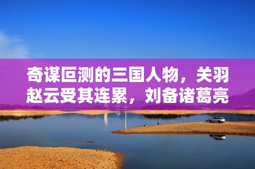 奇谋叵测的三国人物，关羽赵云受其连累，刘备诸葛亮束手无策