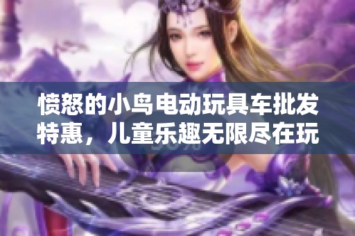 愤怒的小鸟电动玩具车批发特惠，儿童乐趣无限尽在玩具车中
