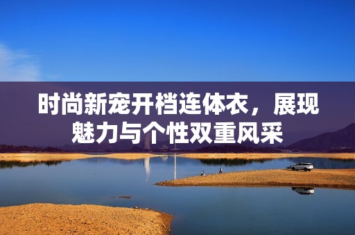 时尚新宠开档连体衣，展现魅力与个性双重风采