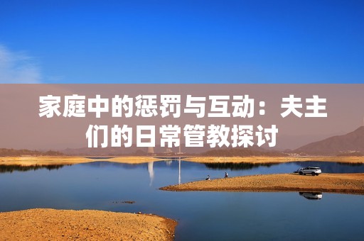 家庭中的惩罚与互动：夫主们的日常管教探讨