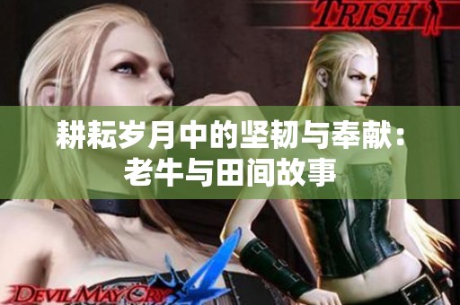 耕耘岁月中的坚韧与奉献：老牛与田间故事