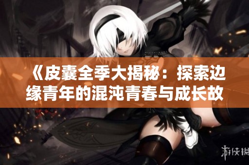 《皮囊全季大揭秘：探索边缘青年的混沌青春与成长故事》