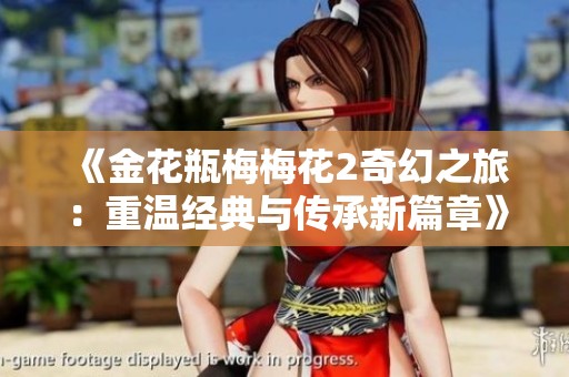 《金花瓶梅梅花2奇幻之旅：重温经典与传承新篇章》
