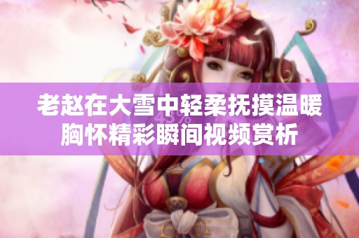 老赵在大雪中轻柔抚摸温暖胸怀精彩瞬间视频赏析