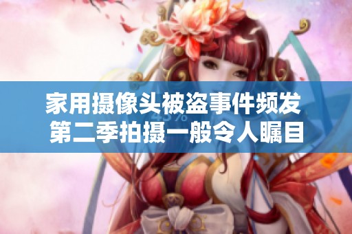 家用摄像头被盗事件频发 第二季拍摄一般令人瞩目