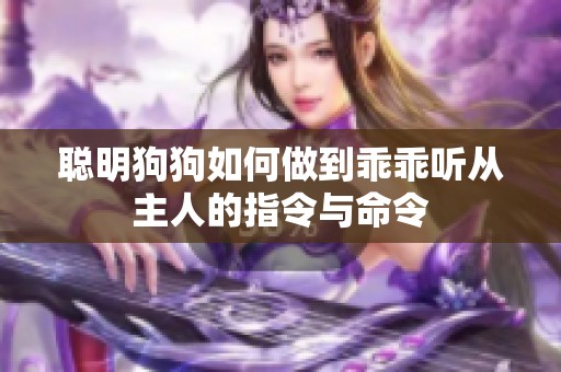 聪明狗狗如何做到乖乖听从主人的指令与命令