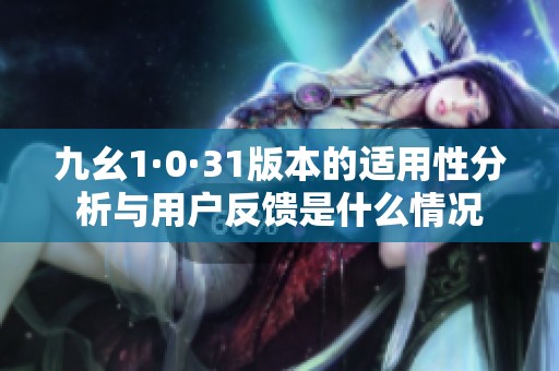 九幺1·0·31版本的适用性分析与用户反馈是什么情况