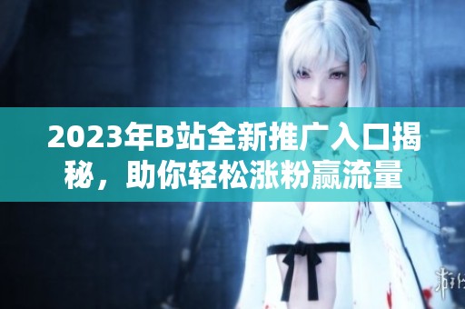 2023年B站全新推广入口揭秘，助你轻松涨粉赢流量