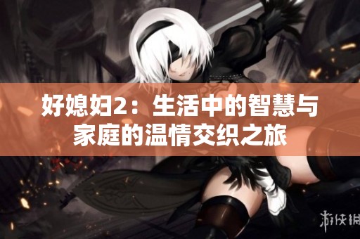 好媳妇2：生活中的智慧与家庭的温情交织之旅