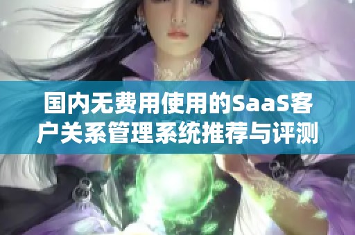 国内无费用使用的SaaS客户关系管理系统推荐与评测