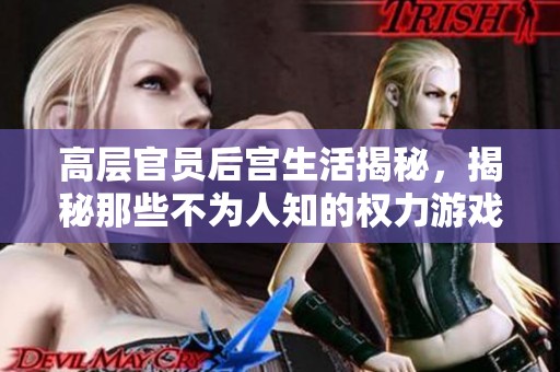 高层官员后宫生活揭秘，揭秘那些不为人知的权力游戏