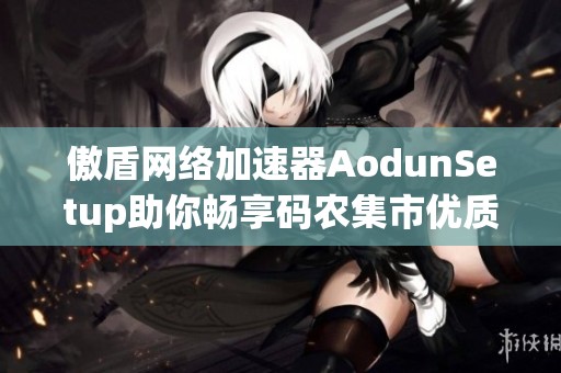 傲盾网络加速器AodunSetup助你畅享码农集市优质IT编程学习资源