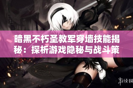 暗黑不朽圣教军穿墙技能揭秘：探析游戏隐秘与战斗策略的奥秘
