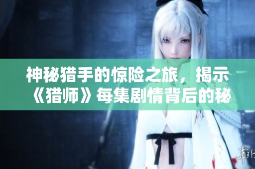 神秘猎手的惊险之旅，揭示《猎师》每集剧情背后的秘密与冒险故事
