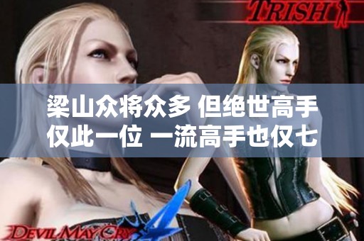 梁山众将众多 但绝世高手仅此一位 一流高手也仅七人
