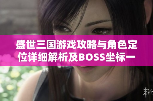 盛世三国游戏攻略与角色定位详细解析及BOSS坐标一览