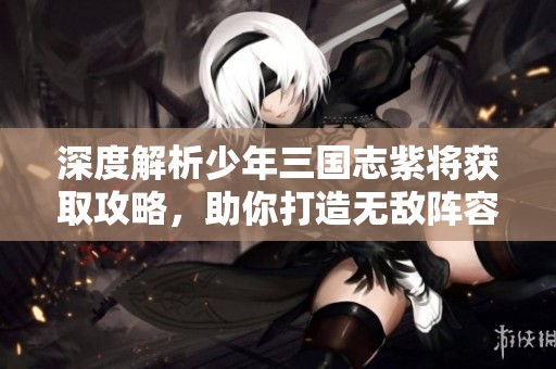 深度解析少年三国志紫将获取攻略，助你打造无敌阵容新篇章