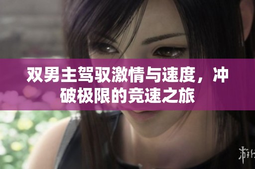 双男主驾驭激情与速度，冲破极限的竞速之旅