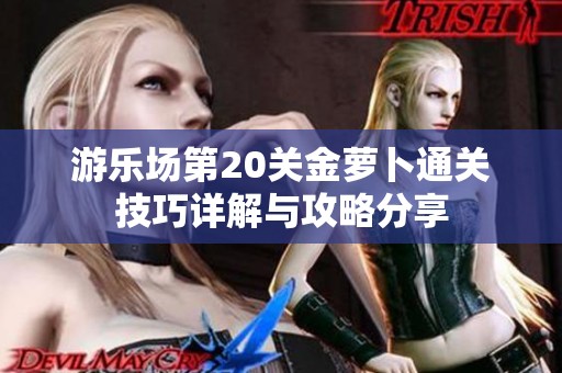 游乐场第20关金萝卜通关技巧详解与攻略分享