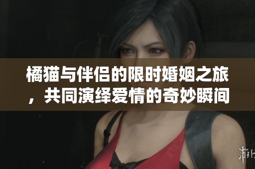 橘猫与伴侣的限时婚姻之旅，共同演绎爱情的奇妙瞬间