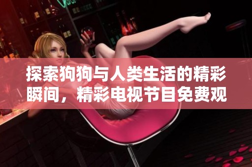 探索狗狗与人类生活的精彩瞬间，精彩电视节目免费观看指南